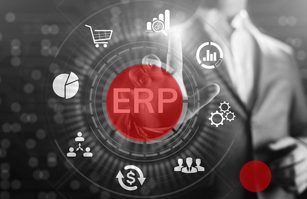 Custom ERP Solutions - Newton Consulting India